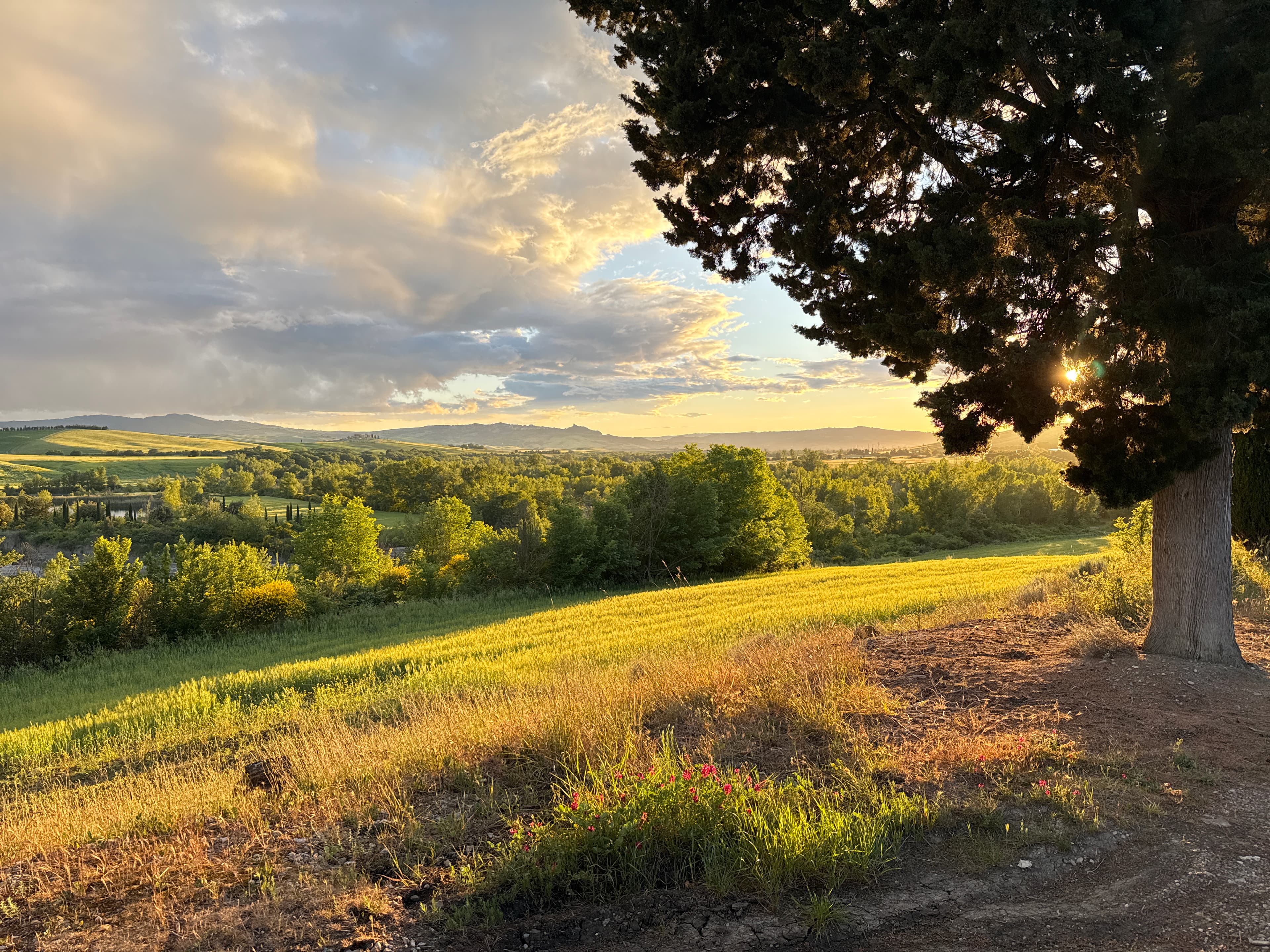 Golden hour over the Val d'Orcia hills, Tuscany